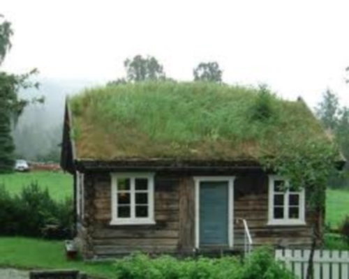 газон на крыше дома фото