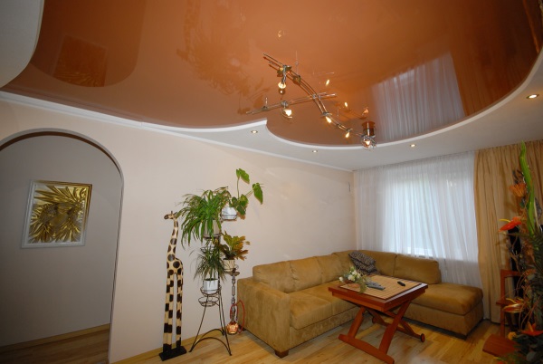 комбинированый потолок из гипсокартона и натяжного потолка фото смотреть